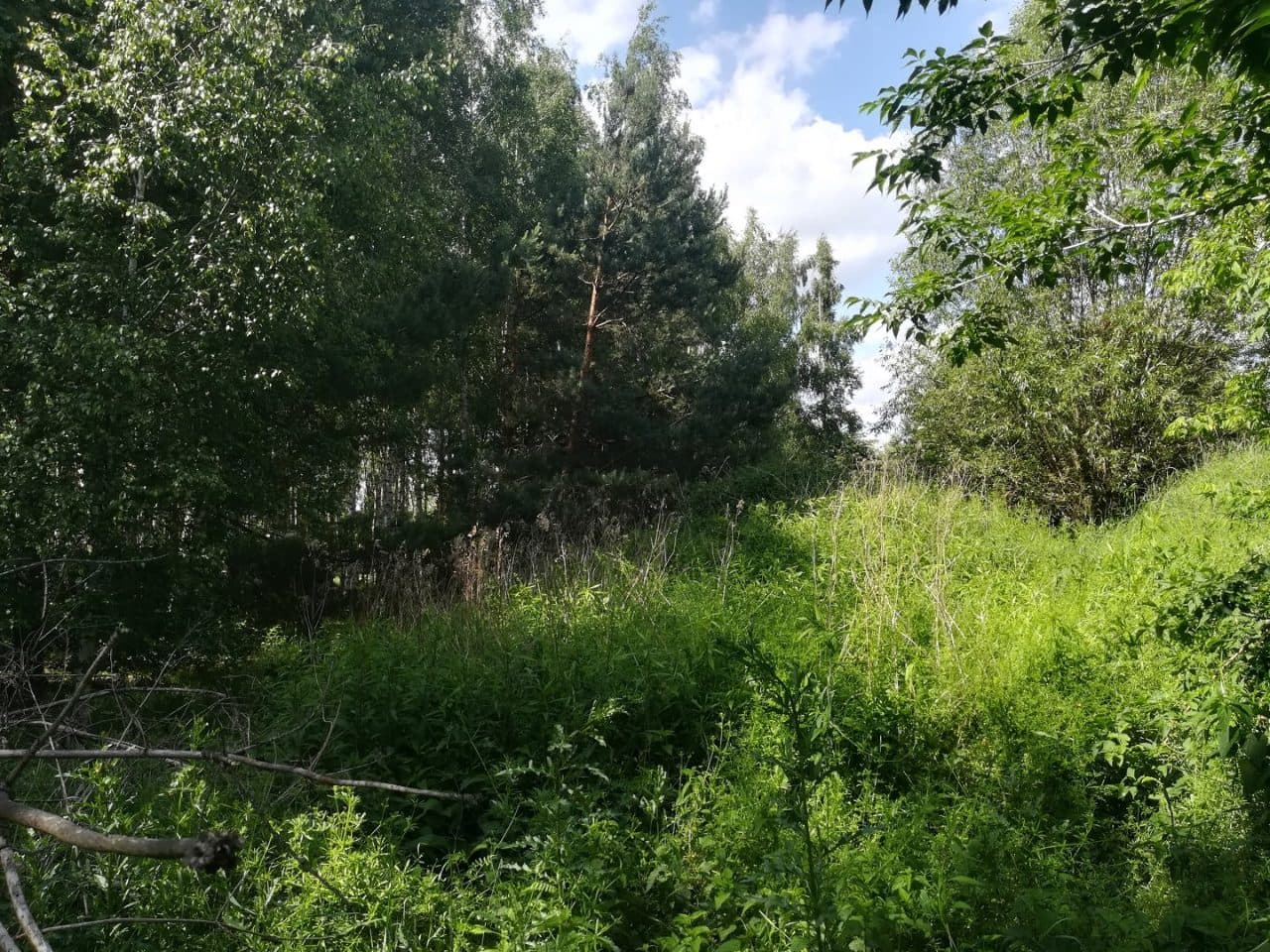 Sulbiny działka ewidencyjna 833/1