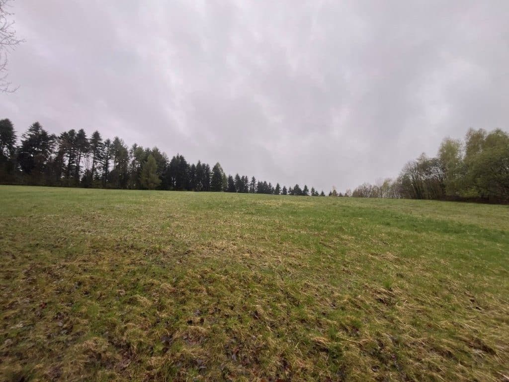 Sołonka, gm. Lubenia - 3,03 ha - RZ1Z/00258488/3