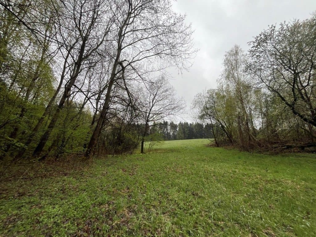 Sołonka, gm. Lubenia - 3,03 ha - RZ1Z/00258488/3 – zdjęcie 2 z 8