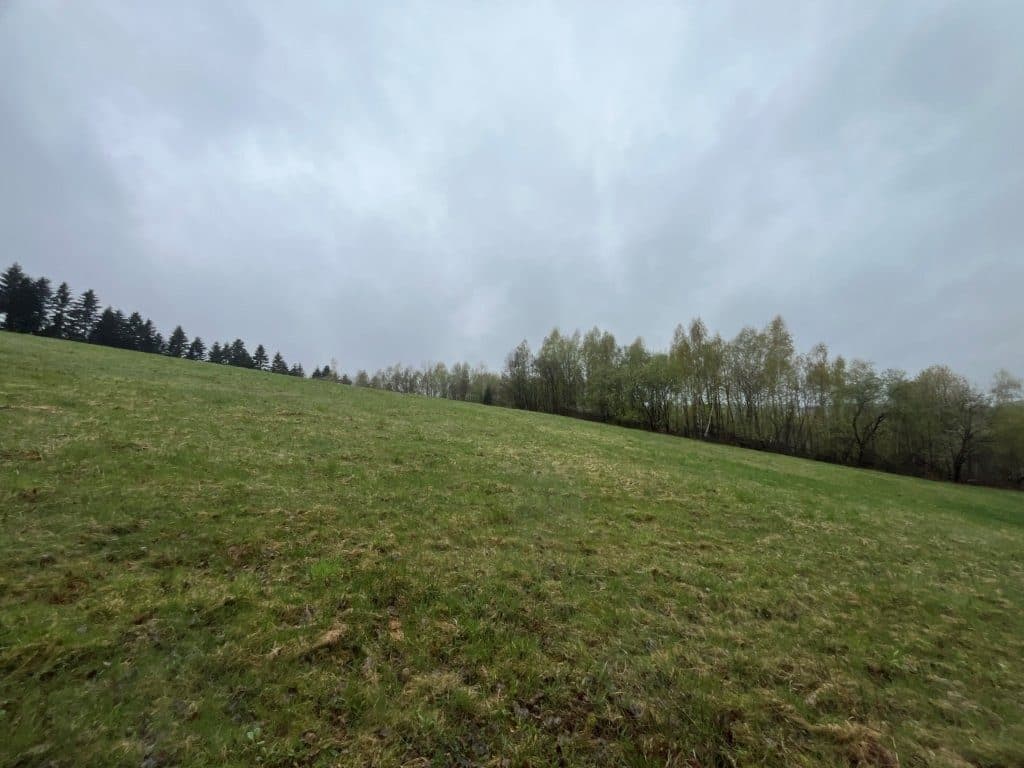 Sołonka, gm. Lubenia - 3,03 ha - RZ1Z/00258488/3 – zdjęcie 3 z 8