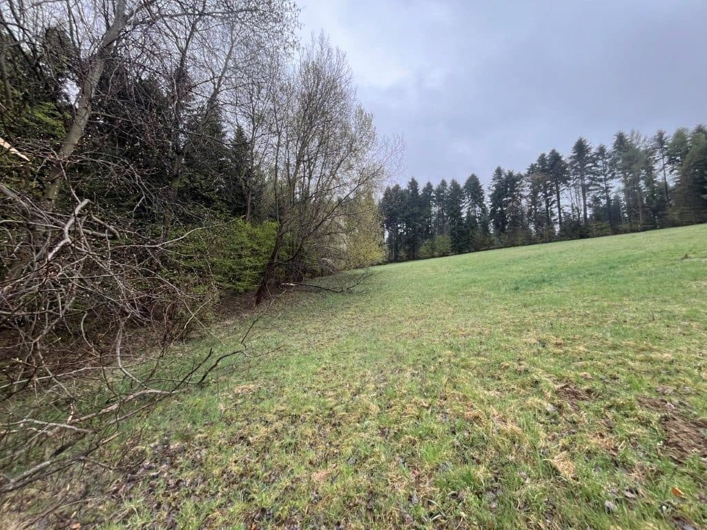 Sołonka, gm. Lubenia - 3,03 ha - RZ1Z/00258488/3 – zdjęcie 4 z 8