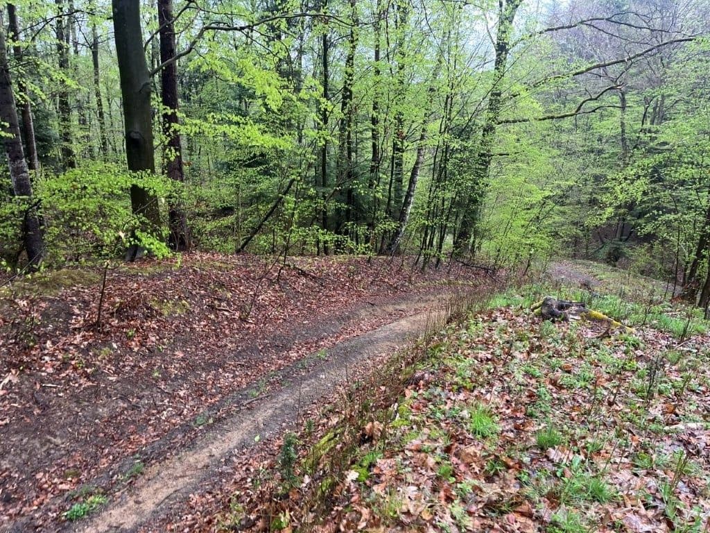 Sołonka, gm. Lubenia - 3,03 ha - RZ1Z/00258488/3 – zdjęcie 5 z 8