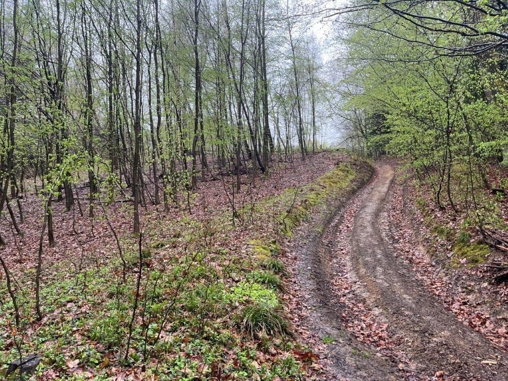 Sołonka, gm. Lubenia - 3,03 ha - RZ1Z/00258488/3 – zdjęcie 6 z 8