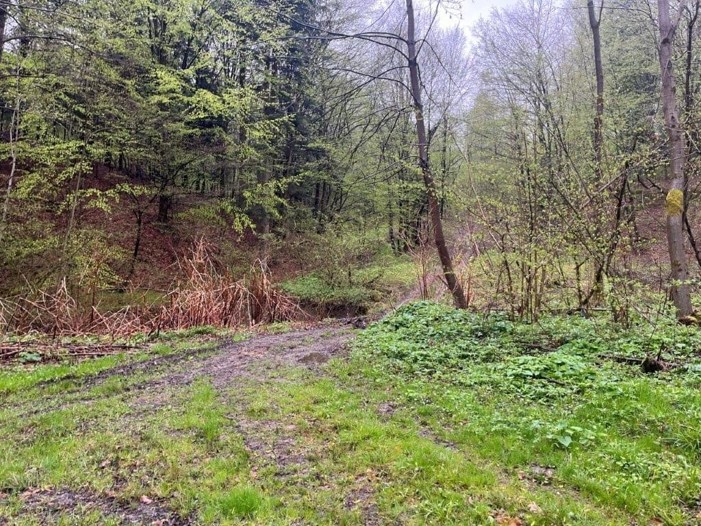 Sołonka, gm. Lubenia - 3,03 ha - RZ1Z/00258488/3 – zdjęcie 8 z 8