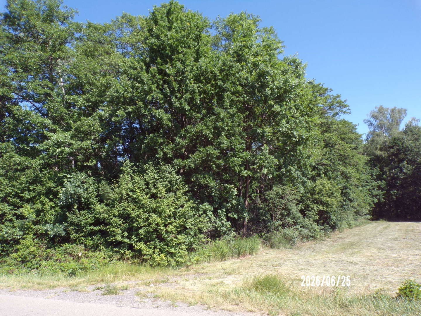 nieruchomość gruntowa niezabudowana o pow. 0,6350ha