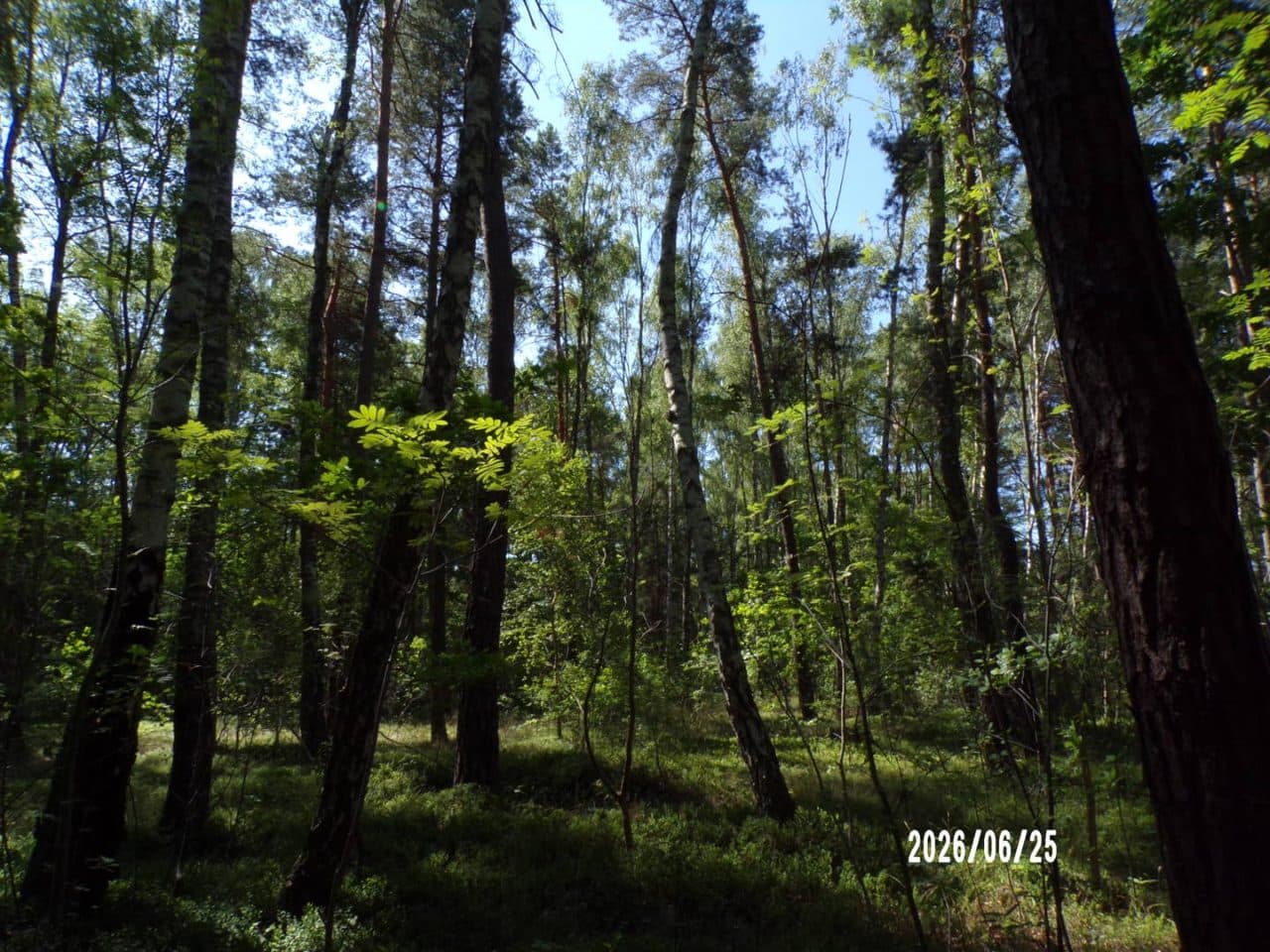 nieruchomość gruntowa niezabudowana o pow. 0,6350ha – zdjęcie 6 z 6