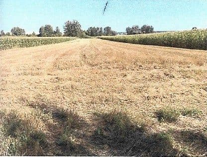 Działka ewidencyjna nr 482 o pow. 0,7800 ha, położona w miejscowości Putnowice Wielkie gm. Wojsławice