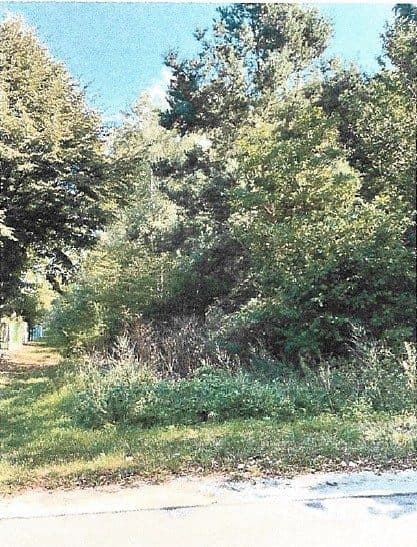 Działka ewidencyjna nr 245/2 o pow. 1,3700 ha położona w miejscowości Putnowice Wielkie gm. Wojsławice