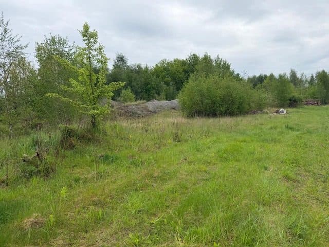 Niezabudowana działka o pow. 6 600 m2 w Białej gm. Trzcianka