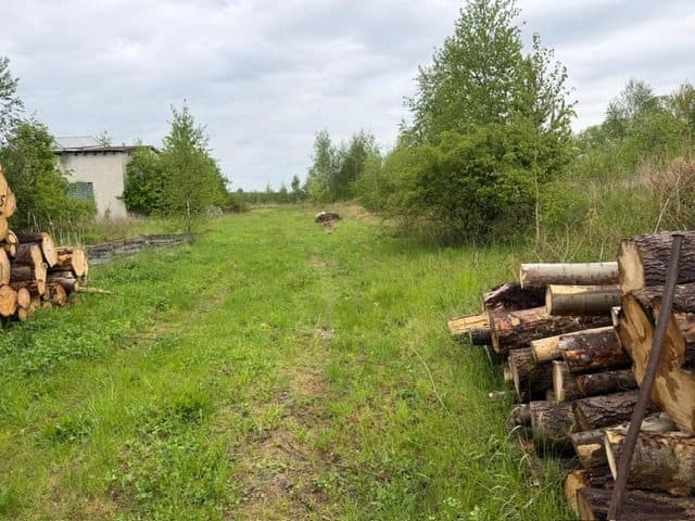 Niezabudowana działka o pow. 6 600 m2 w Białej gm. Trzcianka – zdjęcie 11 z 25