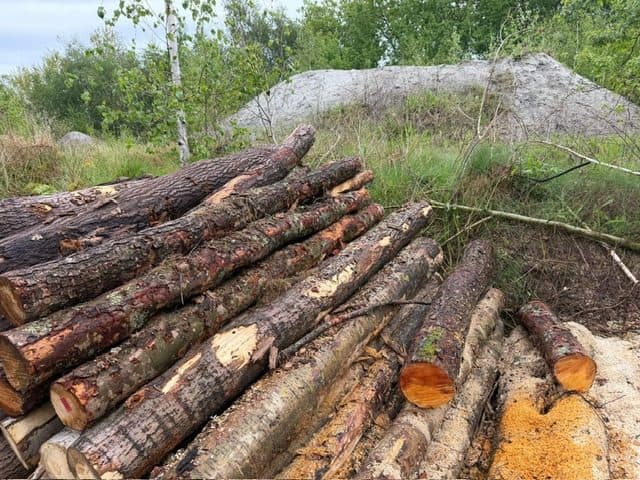Niezabudowana działka o pow. 6 600 m2 w Białej gm. Trzcianka – zdjęcie 12 z 25