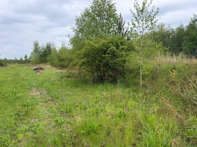 Niezabudowana działka o pow. 6 600 m2 w Białej gm. Trzcianka – zdjęcie 13 z 25