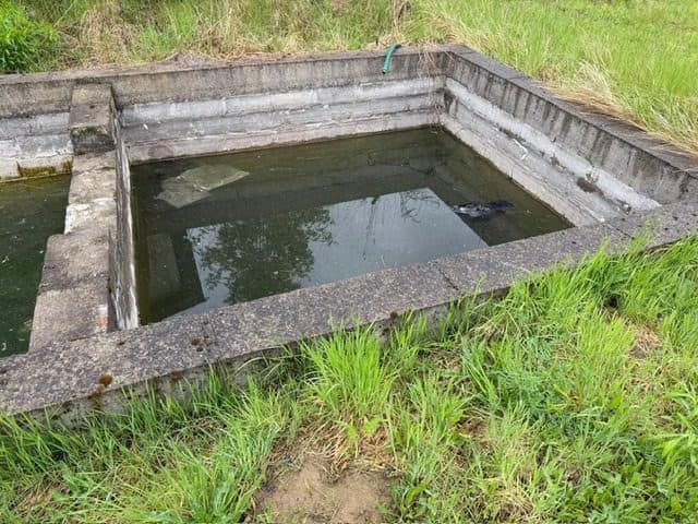Niezabudowana działka o pow. 6 600 m2 w Białej gm. Trzcianka – zdjęcie 14 z 25