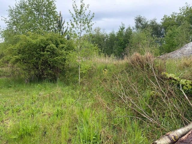 Niezabudowana działka o pow. 6 600 m2 w Białej gm. Trzcianka – zdjęcie 15 z 25