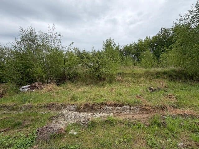 Niezabudowana działka o pow. 6 600 m2 w Białej gm. Trzcianka – zdjęcie 17 z 25