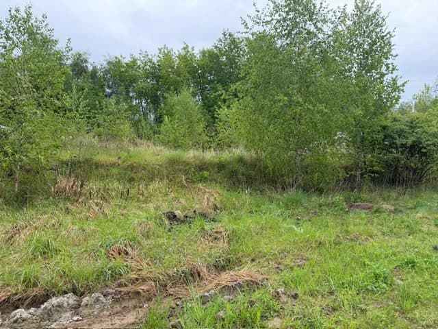 Niezabudowana działka o pow. 6 600 m2 w Białej gm. Trzcianka – zdjęcie 19 z 25