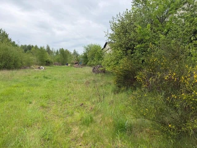 Niezabudowana działka o pow. 6 600 m2 w Białej gm. Trzcianka – zdjęcie 2 z 25