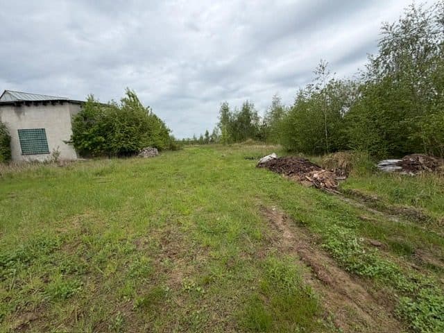 Niezabudowana działka o pow. 6 600 m2 w Białej gm. Trzcianka – zdjęcie 21 z 25