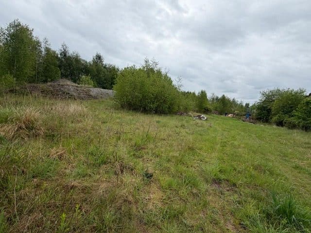 Niezabudowana działka o pow. 6 600 m2 w Białej gm. Trzcianka – zdjęcie 23 z 25