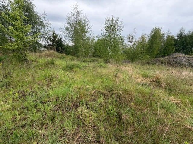 Niezabudowana działka o pow. 6 600 m2 w Białej gm. Trzcianka – zdjęcie 24 z 25