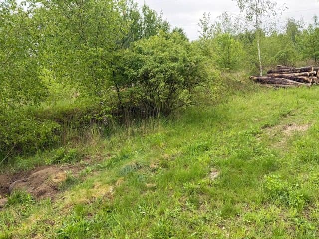 Niezabudowana działka o pow. 6 600 m2 w Białej gm. Trzcianka – zdjęcie 3 z 25