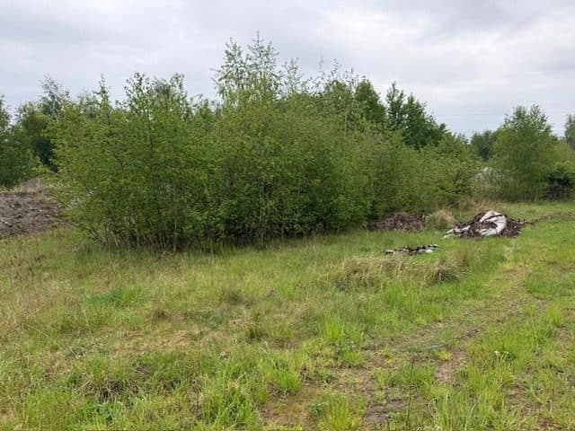 Niezabudowana działka o pow. 6 600 m2 w Białej gm. Trzcianka – zdjęcie 4 z 25