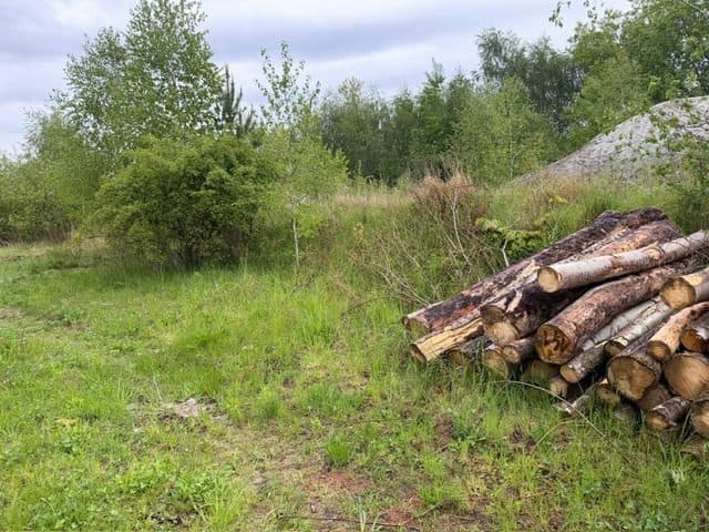 Niezabudowana działka o pow. 6 600 m2 w Białej gm. Trzcianka – zdjęcie 6 z 25