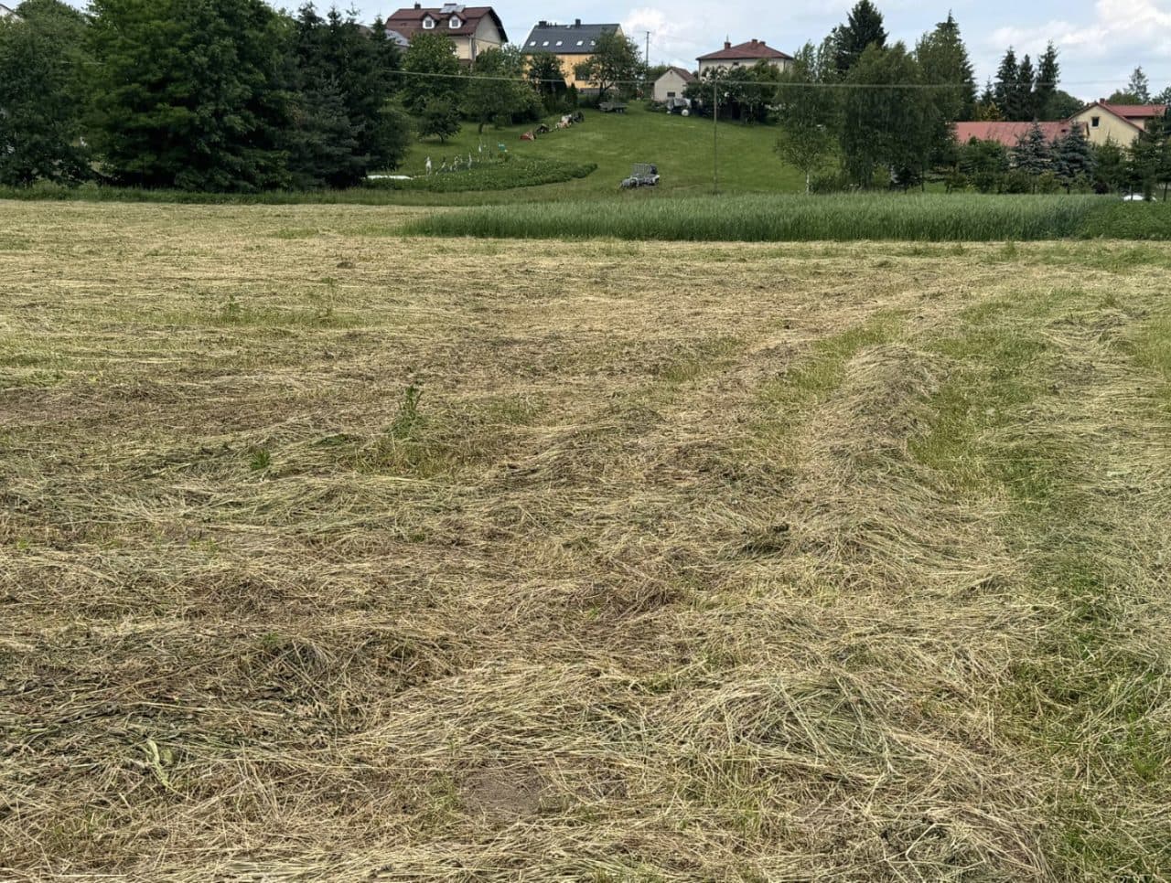 Udział 1/4 w działce nr 4538 położonej w miejscowości Stara Wieś – zdjęcie 2 z 4