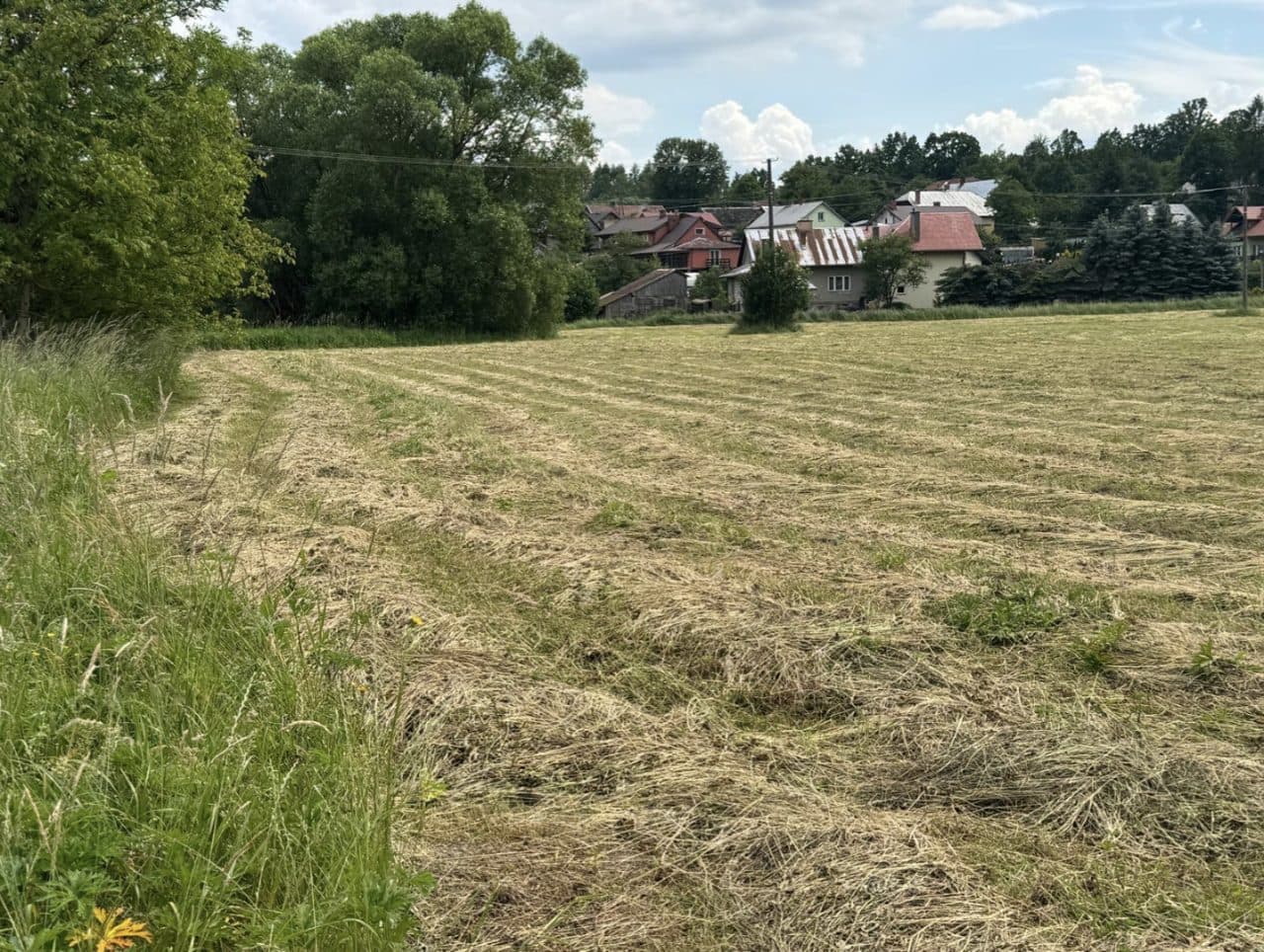 Udział 1/4 w działce nr 4538 położonej w miejscowości Stara Wieś – zdjęcie 3 z 4