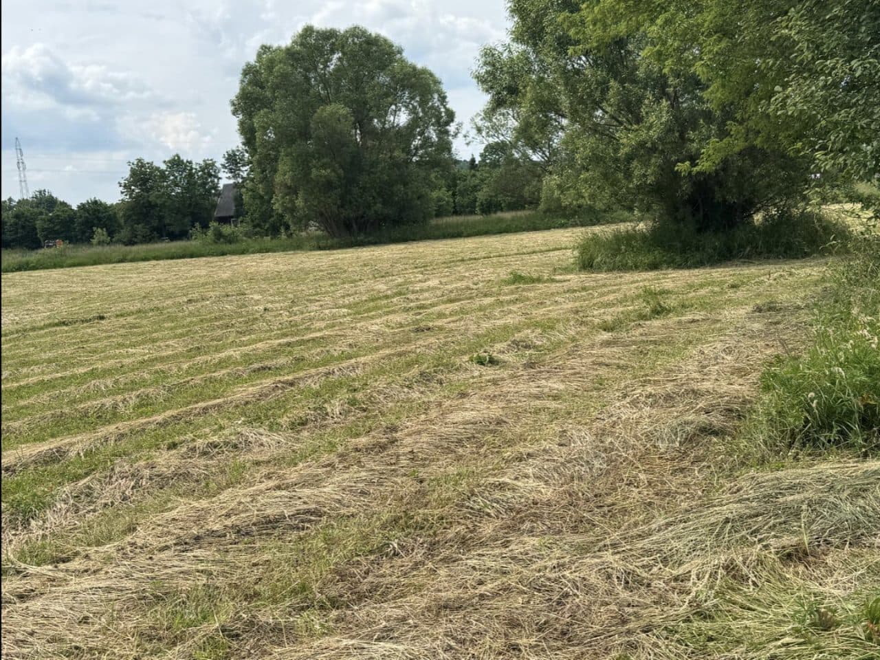 Udział 1/4 w działce nr 4538 położonej w miejscowości Stara Wieś – zdjęcie 4 z 4