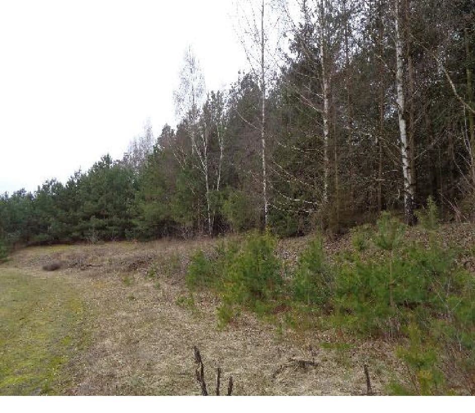 udział 3/10 – zdjęcie 12 z 13