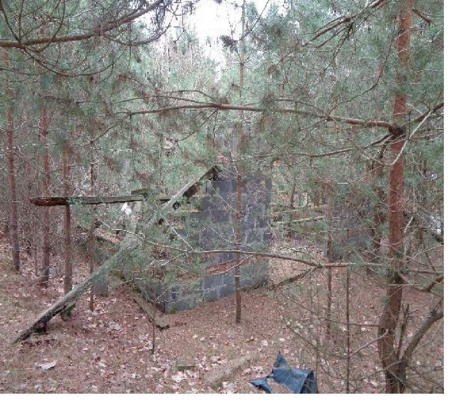 udział 3/10 – zdjęcie 8 z 13