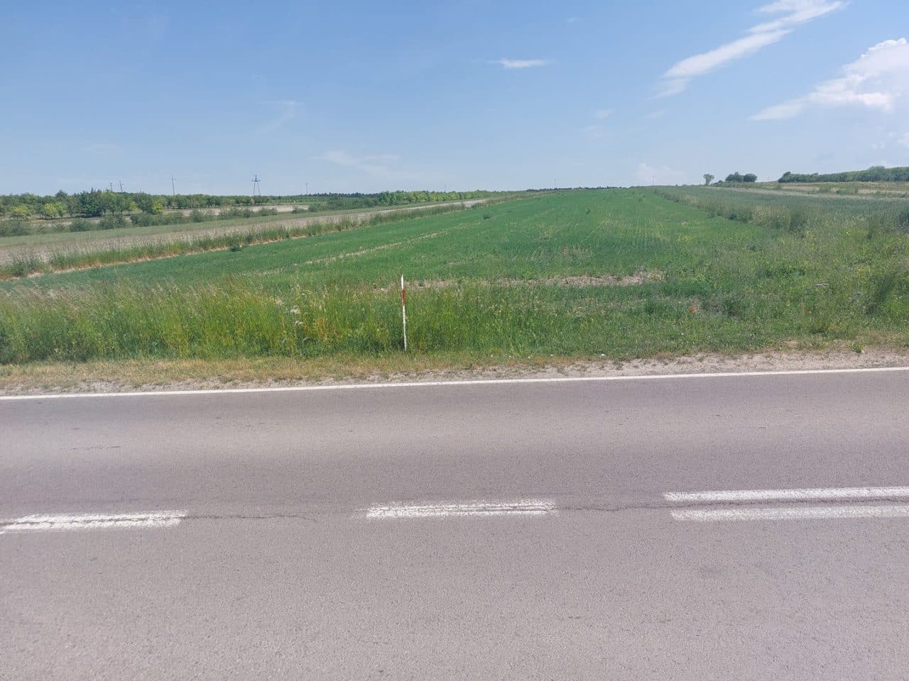 Nieruchomość gruntowa – zdjęcie 3 z 5