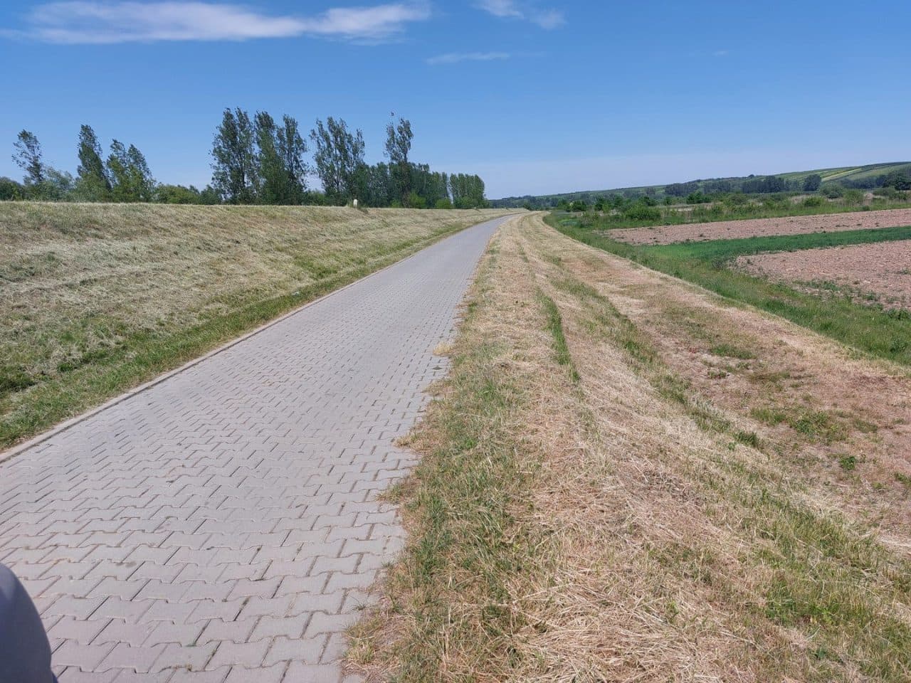 Nieruchomość gruntowa niezabudowana – zdjęcie 4 z 4