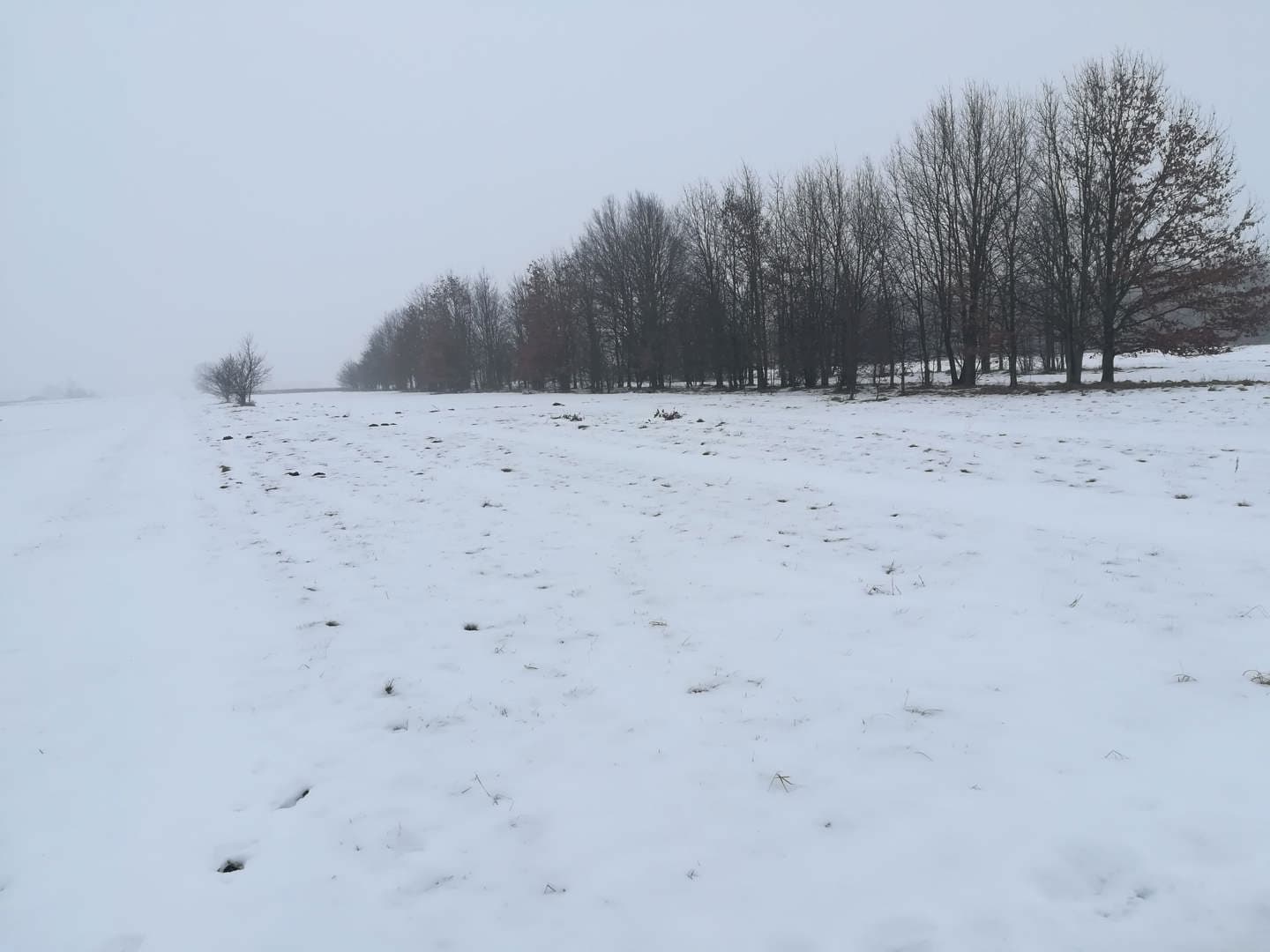 Działki niezabudowane nr 6882/1 i 6963, Miasto Garwolin, 0,5531 ha