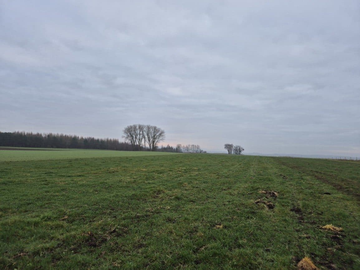 Grunty orne w powiecie lęborskim - dz. 296 Krępa Kaszubska – zdjęcie 4 z 8