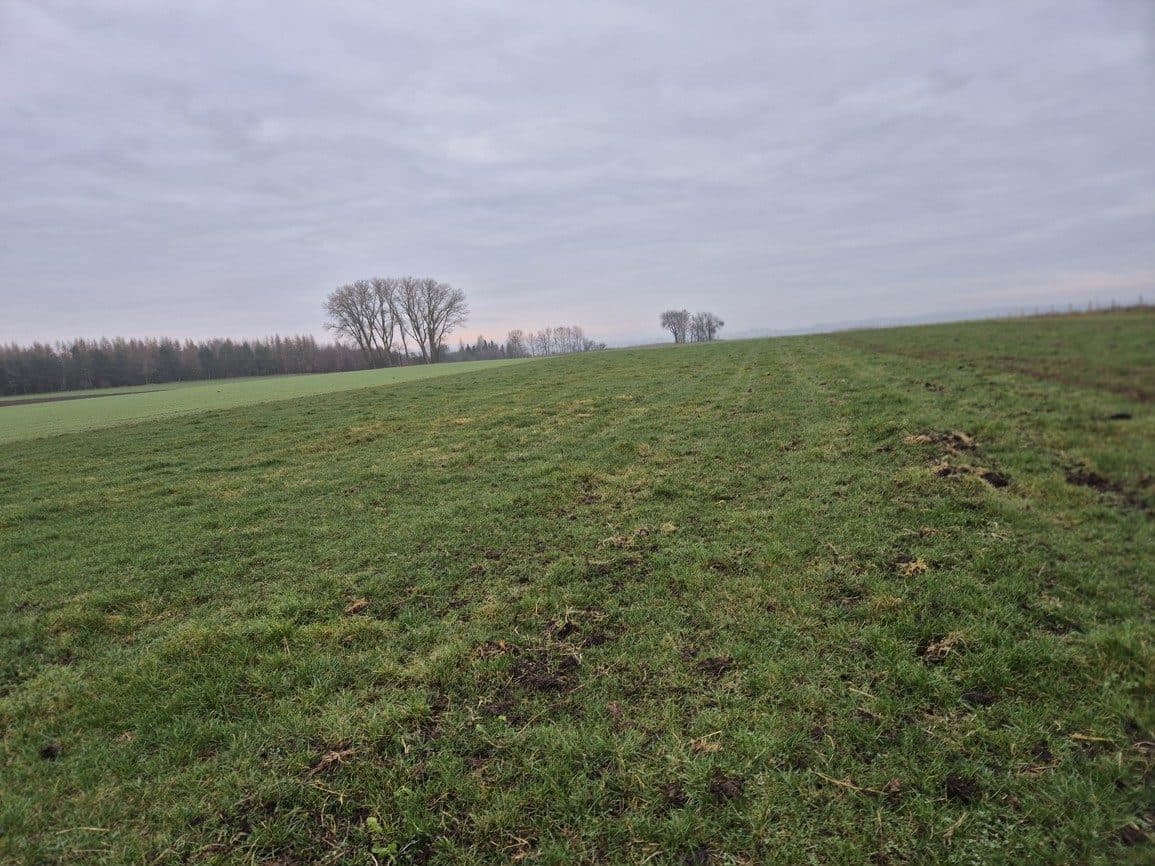 Grunty orne w powiecie lęborskim - dz. 296 Krępa Kaszubska – zdjęcie 8 z 8