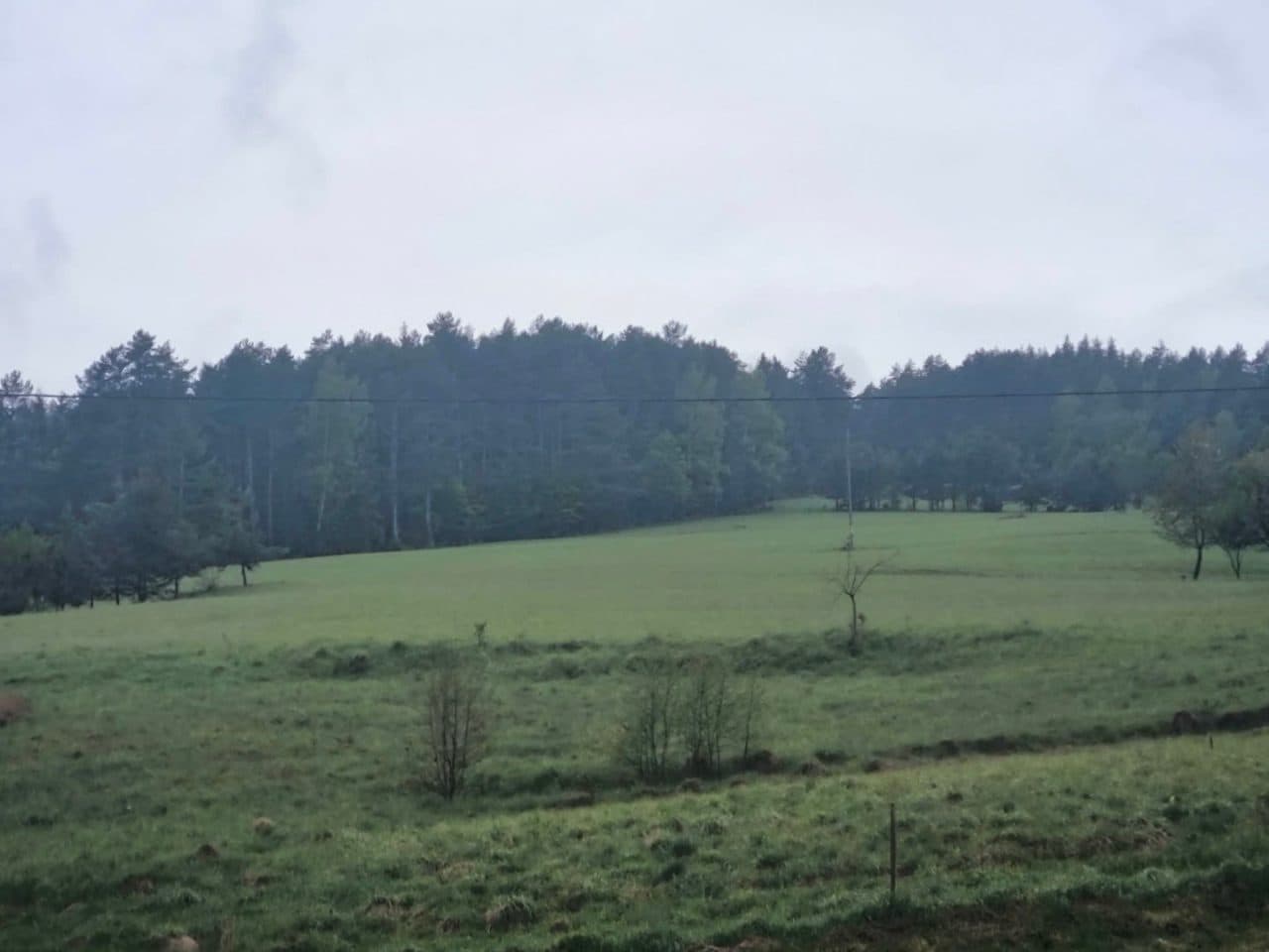 Działka gruntowa oznaczona nr ew. 247/2 o powierzchni 3,90 ha, położona w miejscowości Jastrzębik