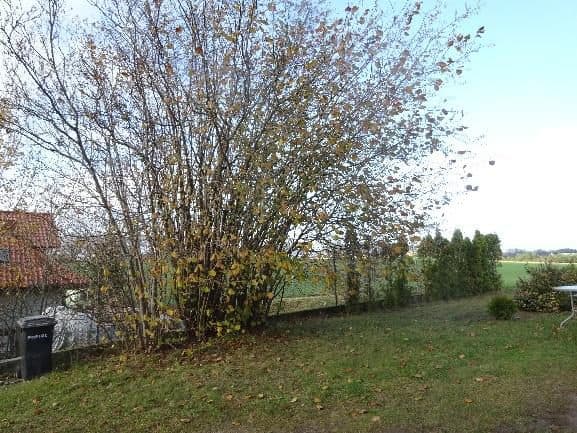 nieruchomość gruntowa zabudowana – zdjęcie 9 z 13