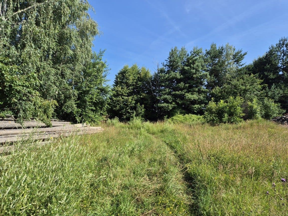 Nieruchomość gruntowa niezabudowana w Gminie Potęgowo – zdjęcie 19 z 39