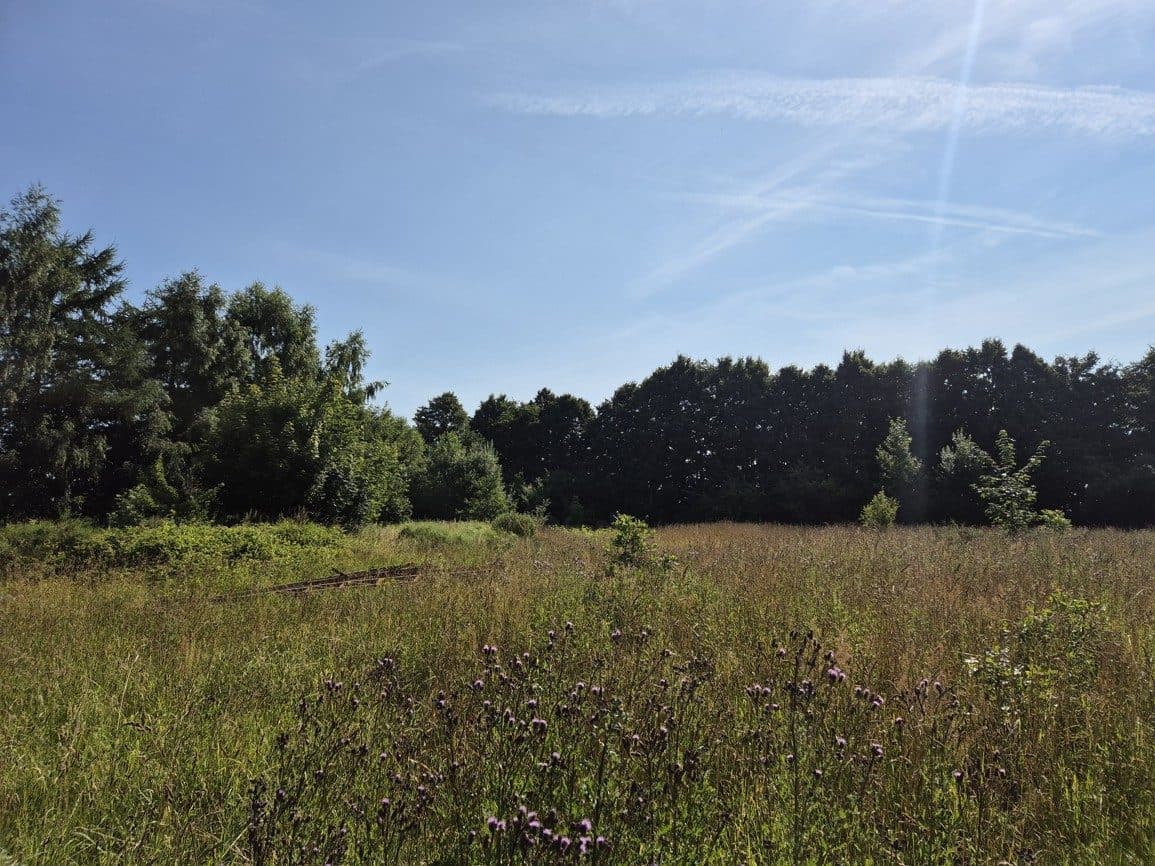Nieruchomość gruntowa niezabudowana w Gminie Potęgowo – zdjęcie 22 z 39