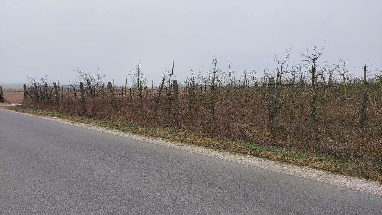 Nieruchomość