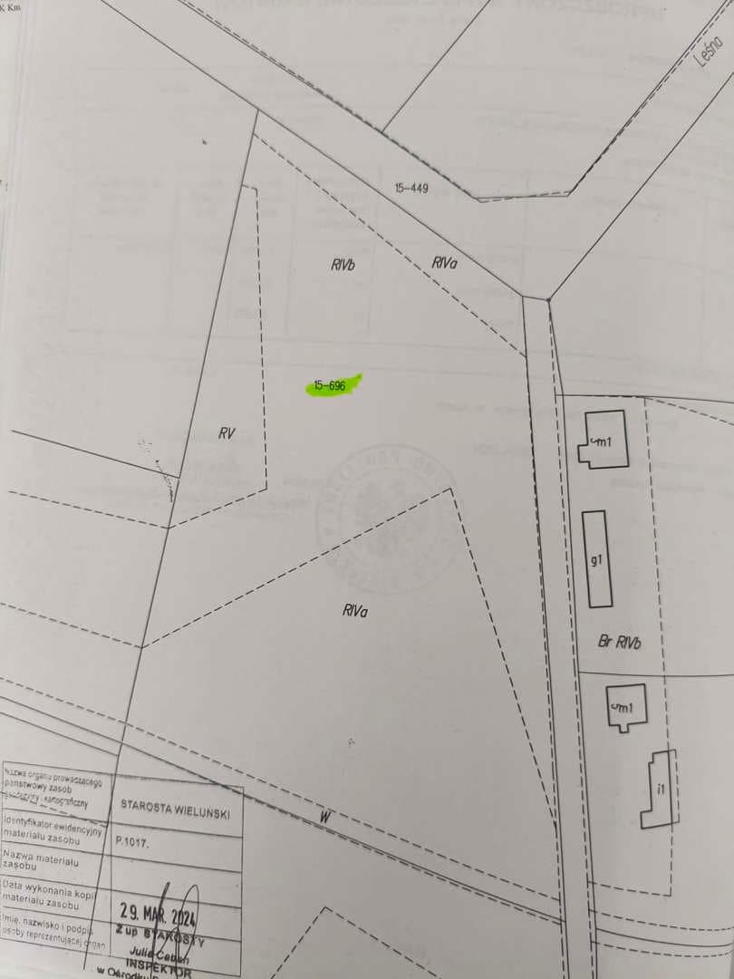 dzialka nr 696 o pow. 1,3000 ha – zdjęcie 2 z 2