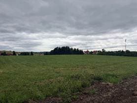 Udział 1/7 części nieruchomości stanowiącej działkę nr 188/5 o pow. 2453 m2 położonej pod adresem: 11-036 Gietrzwałd, dla której Sąd Rejonowy w Olsztynie VI Wydział Ksiąg Wieczystych prowadzi księgę wieczystą o numerze OL1O/00011163/3. – zdjęcie 7 z 8