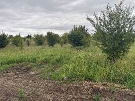 Udział 1/7 części nieruchomości stanowiącej działkę nr 188/5 o pow. 2453 m2 położonej pod adresem: 11-036 Gietrzwałd, dla której Sąd Rejonowy w Olsztynie VI Wydział Ksiąg Wieczystych prowadzi księgę wieczystą o numerze OL1O/00011163/3. – zdjęcie 8 z 8