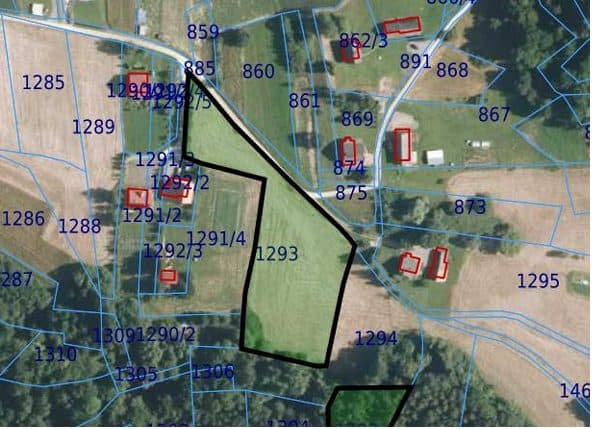 opisana jako nieruchomość gruntowa niezabudowana działka ewid. 1293 położona w miejscowości Cieniawa o pow. 0,59 ha – zdjęcie 4 z 5