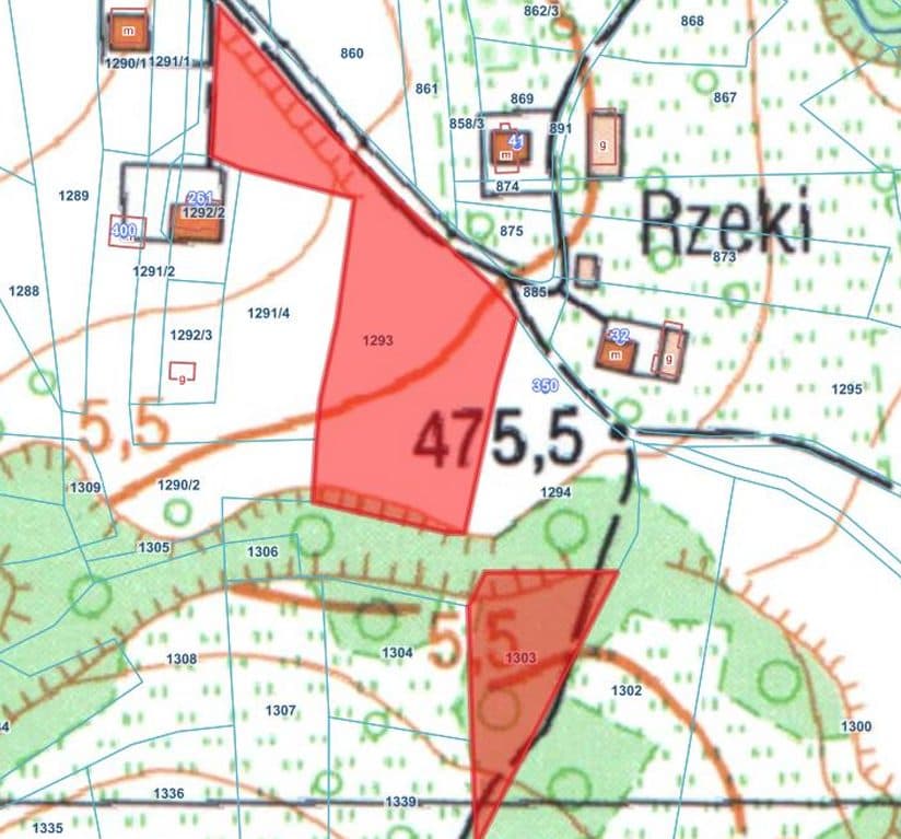 opisana jako nieruchomość gruntowa niezabudowana działka ewid. 1293 położona w miejscowości Cieniawa o pow. 0,59 ha – zdjęcie 5 z 5