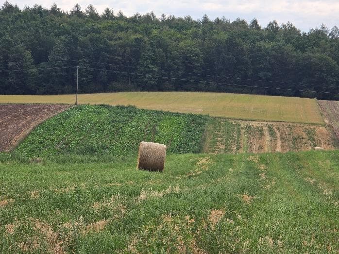 nieruchomość rolna – zdjęcie 3 z 3
