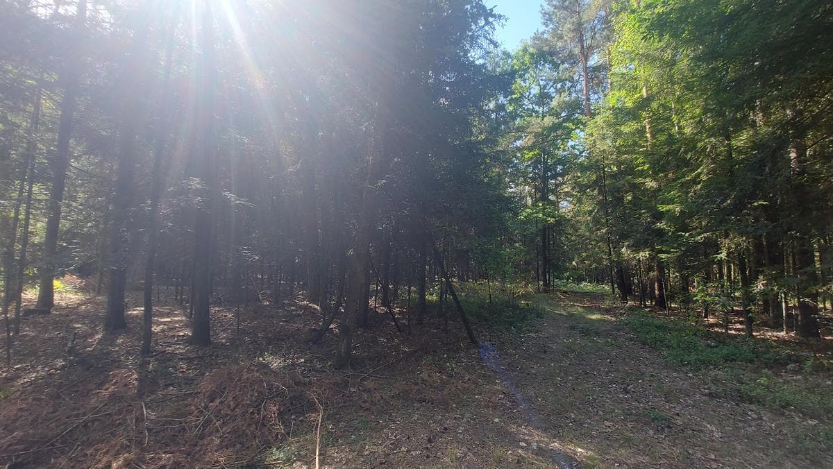 Nieruchomość o nr działki 386 położona w miejscowości Laski, gm. Krzywda, o pow. 0,26 ha, dla której SR w Łukowie prowadzi KW o numerze LU1U/00024976/5.