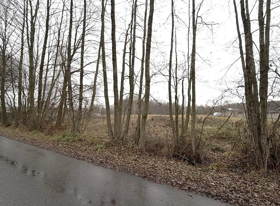 nieruchomość niezabudowana położona w gminie Inowłódz, obręb 9 Żądłowice, składająca się z działek nr 8 oraz 367 – zdjęcie 3 z 4